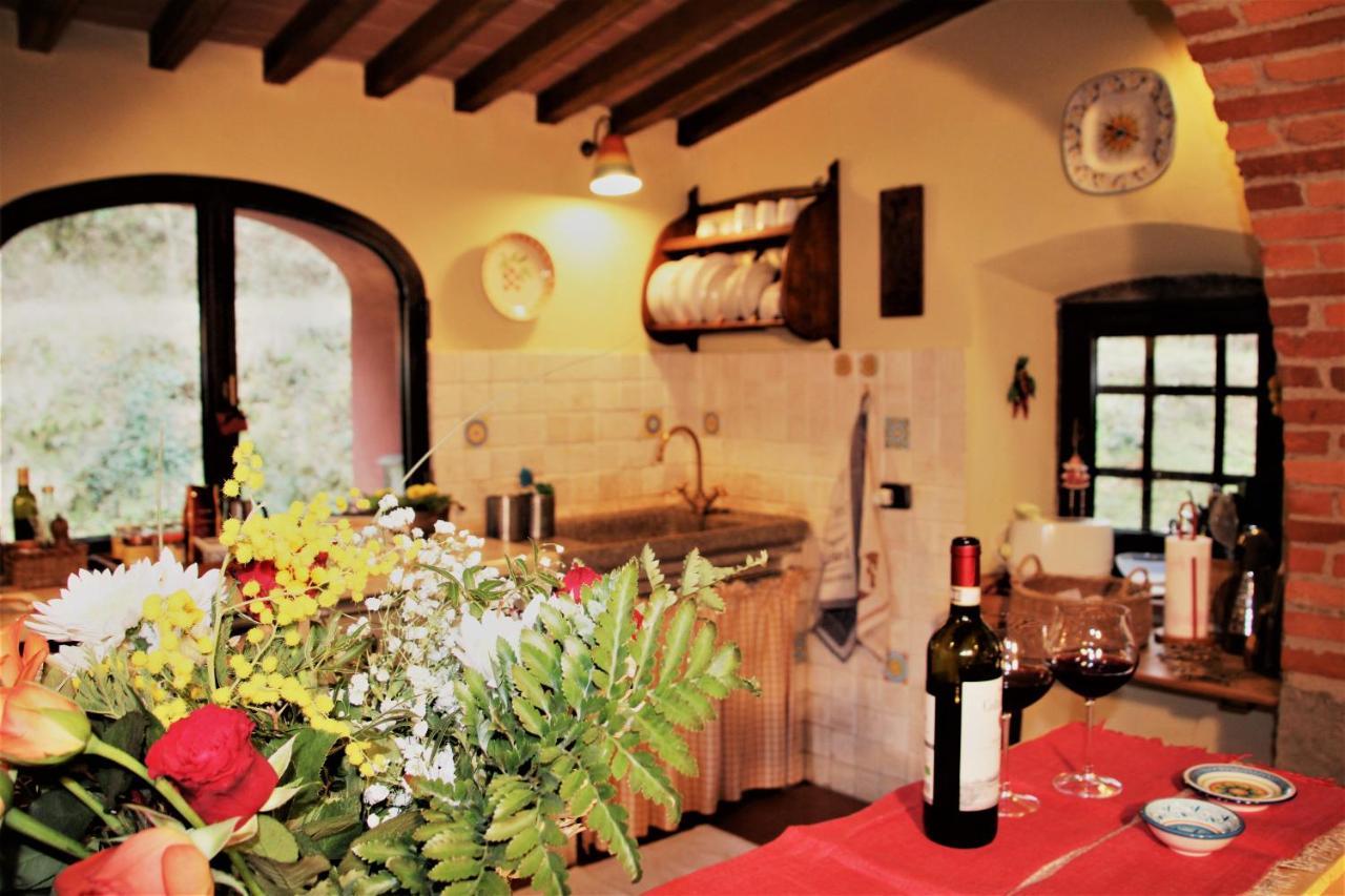 Mulino Di Rimaggio - Antico Mulino In Toscana Cavriglia Dış mekan fotoğraf