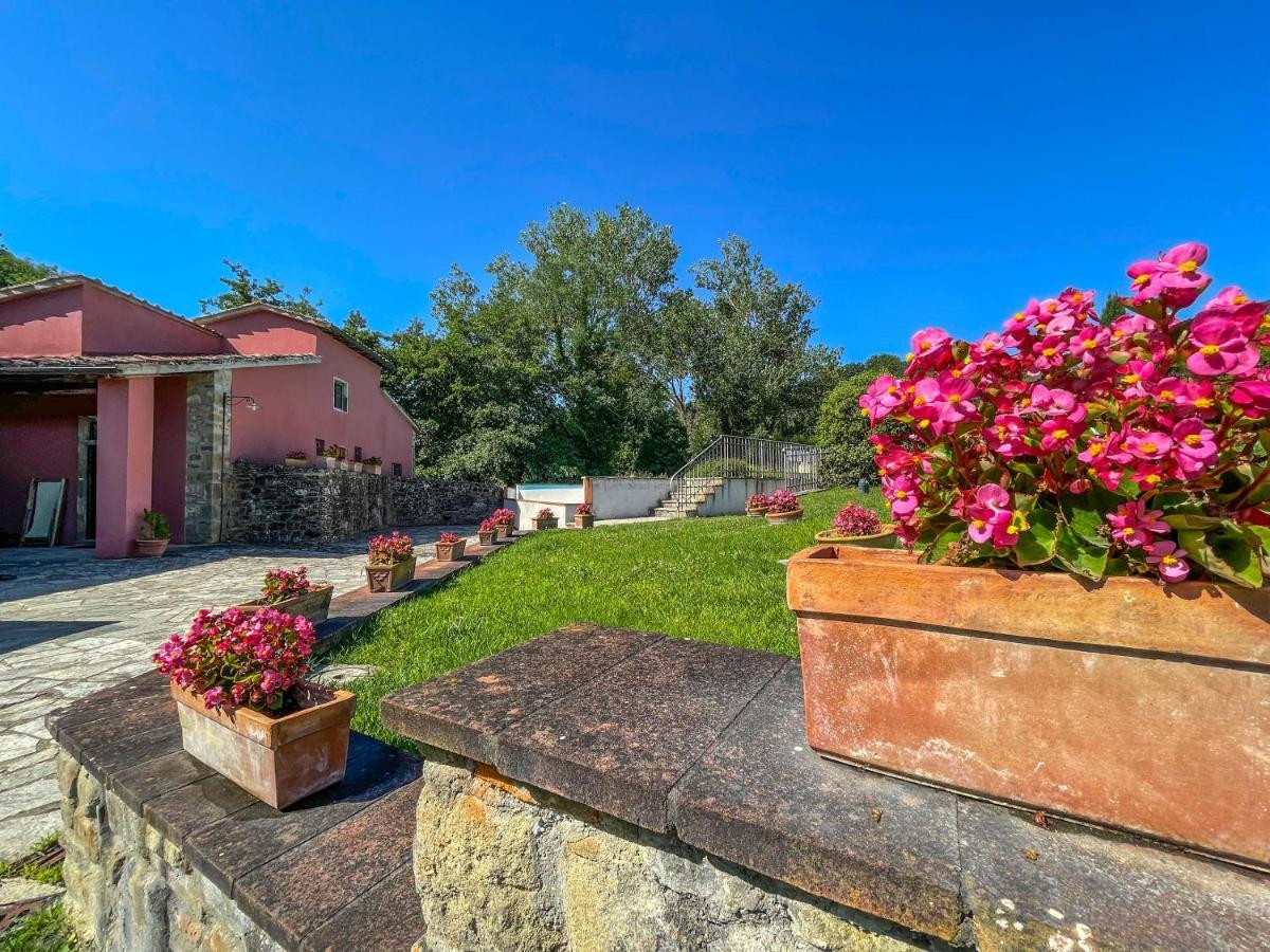 Mulino Di Rimaggio - Antico Mulino In Toscana Cavriglia Dış mekan fotoğraf