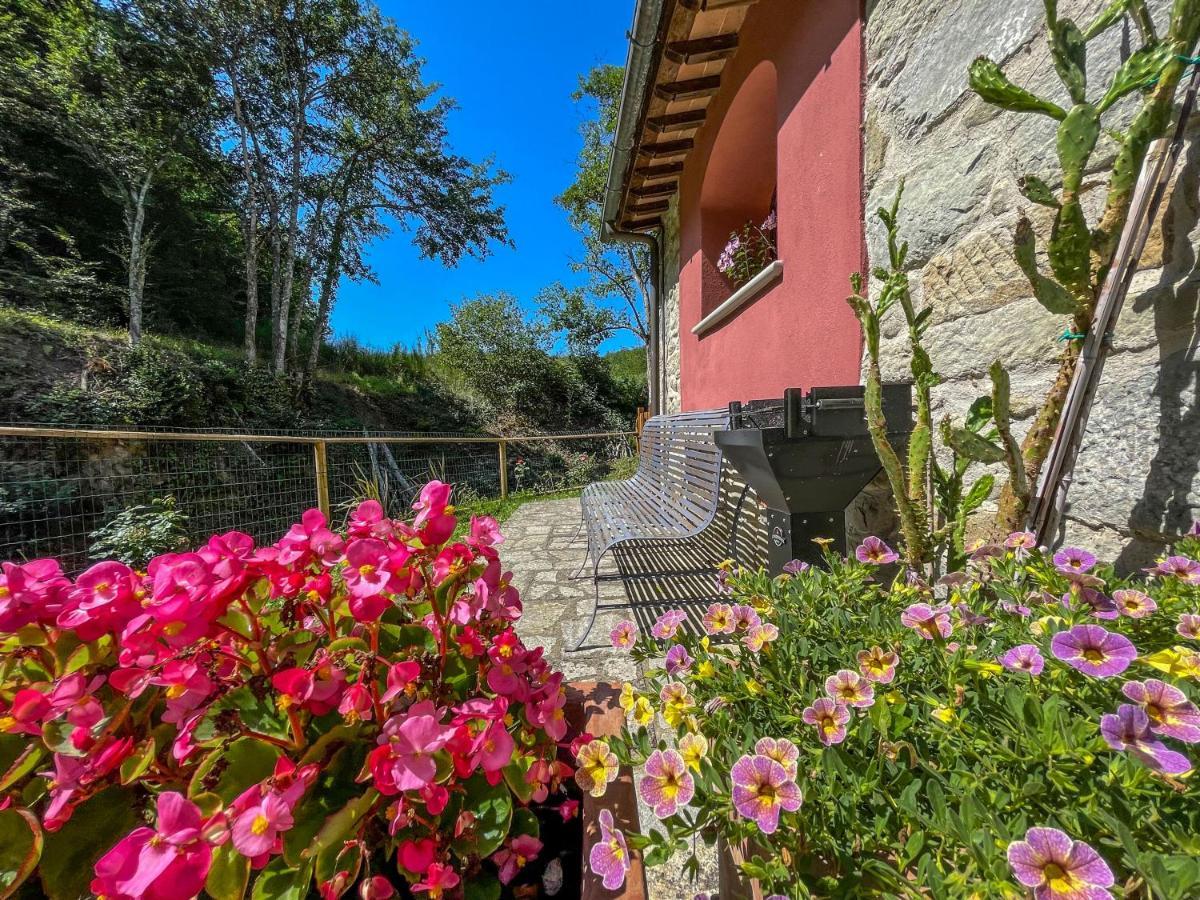 Mulino Di Rimaggio - Antico Mulino In Toscana Cavriglia Dış mekan fotoğraf